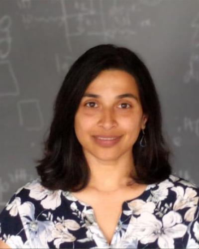 Professor Nandini Ananth
