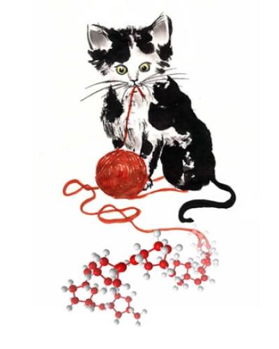 Cat and Yarn Magnetic Tweezers